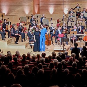 Sinfoniekonzert VIII Bild