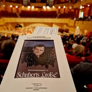 Sinfoniekonzert VI Bild