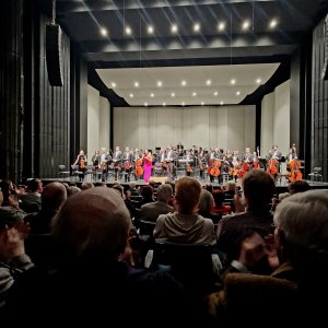 6. Sinfoniekonzert (Gelsenkirchen) Bild