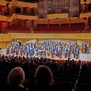 Sinfoniekonzert III Bild