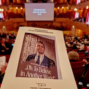 Sinfoniekonzert II Bild