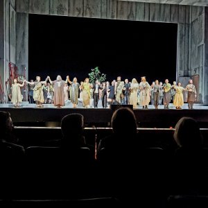 Die Fritjof-Saga Bild