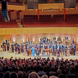 Sinfoniekonzert VIII Bild