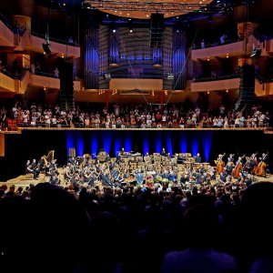 Sinfoniekonzert XII Bild
